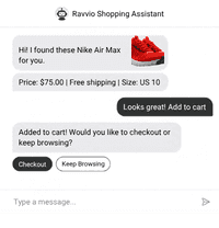 Ravvio AI agent conversation